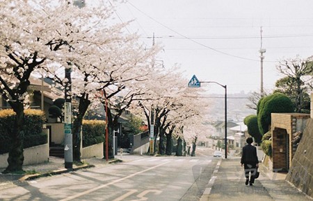 日本建筑留學(xué)